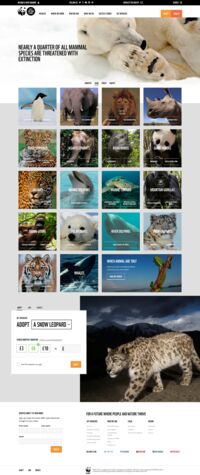 World Wildlife Fund where we work page